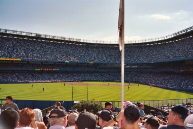 Yankee Stadium from the rock pile