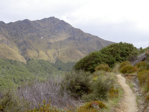 Ben Lomond Peak trail in New Zealand